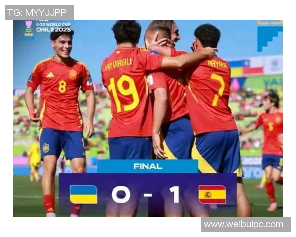 西班牙国家队世界杯战术解析与球队表现评估